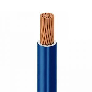 SLC521