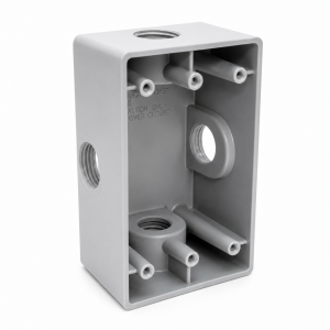 CAJA FS RR 4 SALIDAS 1 RAWELT
